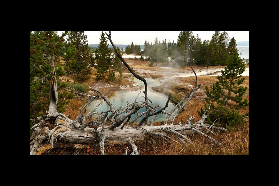 Yellowstone Yellowstone